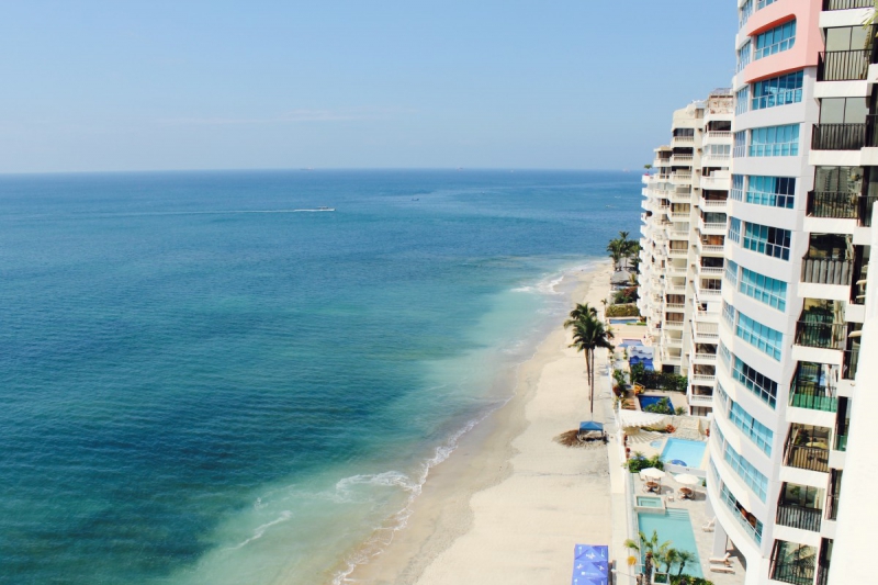 chambre-hote-CANNES-min_beach_ocean_shore_hotel_palm_tree-33726